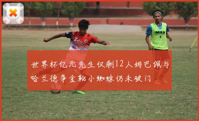 世界杯亿元先生仅剩12人姆巴佩与哈兰德争金靴小蜘蛛仍未破门